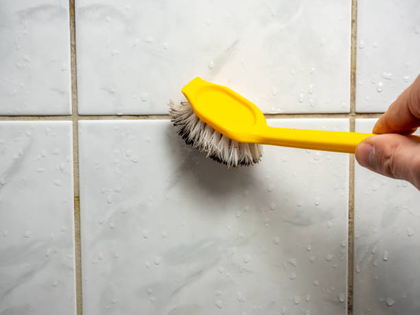  Carlyle, IL Mold Removal Pros
