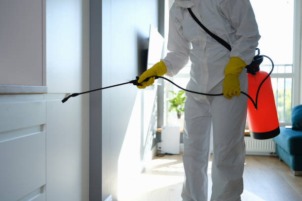Best Mold Damage Repair  in Carlyle, IL