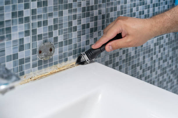 Best Mold Remediation  in Carlyle, IL