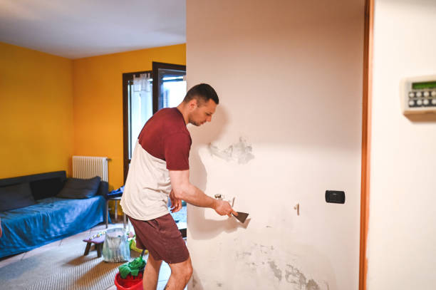 Reliable Carlyle, IL Mold Removal Solutions